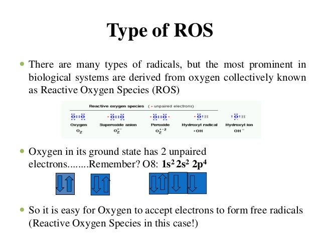 Image result for reactive oxygen species