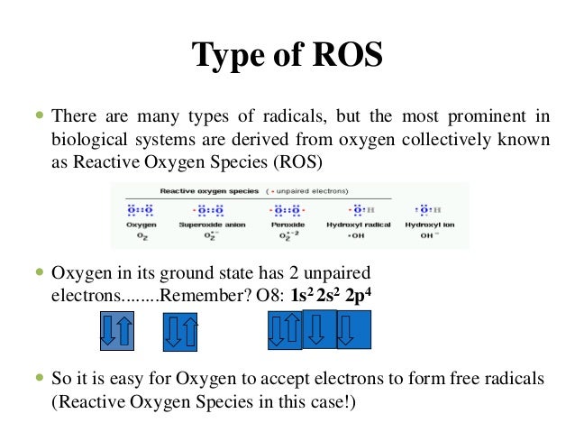 reactive oxygen species