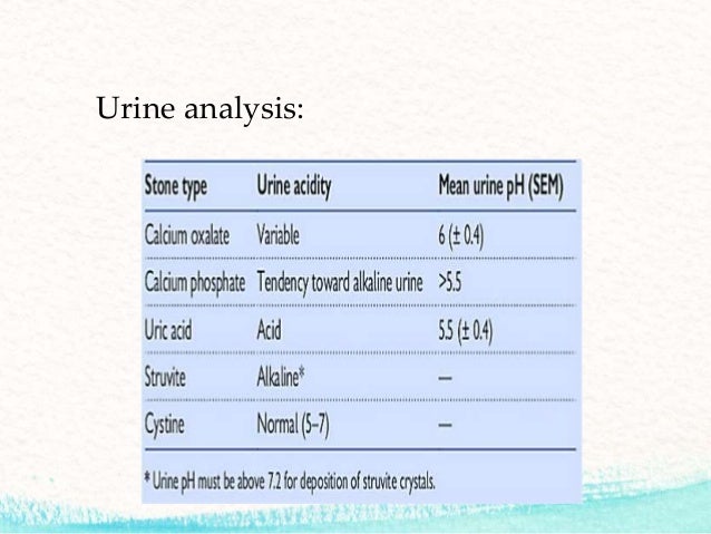 Seminar Renal Stone On 24 10 16