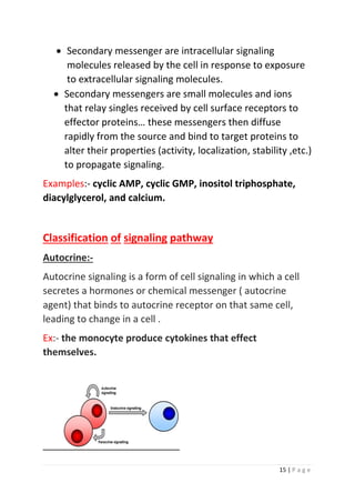 15 | P a g e
• Secondary messenger are intracellular signaling
molecules released by the cell in response to exposure
to extracellular signaling molecules.
• Secondary messengers are small molecules and ions
that relay singles received by cell surface receptors to
effector proteins… these messengers then diffuse
rapidly from the source and bind to target proteins to
alter their properties (activity, localization, stability ,etc.)
to propagate signaling.
Examples:- cyclic AMP, cyclic GMP, inositol triphosphate,
diacylglycerol, and calcium.
Classification of signaling pathway
Autocrine:-
Autocrine signaling is a form of cell signaling in which a cell
secretes a hormones or chemical messenger ( autocrine
agent) that binds to autocrine receptor on that same cell,
leading to change in a cell .
Ex:- the monocyte produce cytokines that effect
themselves.
 