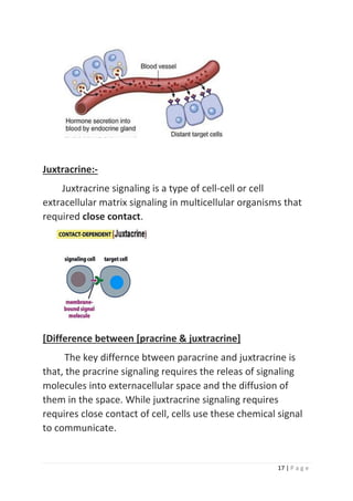 17 | P a g e
Juxtracrine:-
Juxtracrine signaling is a type of cell-cell or cell
extracellular matrix signaling in multicellular organisms that
required close contact.
[Difference between [pracrine & juxtracrine]
The key differnce btween paracrine and juxtracrine is
that, the pracrine signaling requires the releas of signaling
molecules into externacellular space and the diffusion of
them in the space. While juxtracrine signaling requires
requires close contact of cell, cells use these chemical signal
to communicate.
 