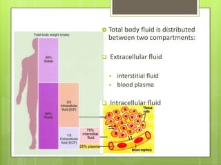 Seminar report body fluids | PPTX