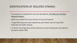 IDENTIFICATION OF ISOLATED STRAINS :
• microorganisms isolated from soil were identified by 18S rRNA and 16S rRNA
sequence analysis.
• gDNA was isolated from pure cultures of fungi and bacteria.
• fungal DNA sequences were obtained by Gene Matrix Plant & Fungi DNA
Purification Kit (EURx, Poland).
 In this kit, the temperature shock method was used to break open the cellulosic
cell wall to obtain DNA.
 