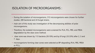 ISOLATION OF MICROORGANISMS :
• During the isolation of microorganisms, 313 microorganisms were chosen for further
studies: 289 bacterial and 24 fungal strains.
• main aim of this study was investigation of the decomposing abilities of polar
microorganisms.
• Therefore, the isolated microorganisms were screened for PLA, PCL, PBS, and PBSA
degradation by the clear zone method.
• clear zone was shown by 113 bacteria (39.10%) and by 8 fungi (33.33%) after 2, 3 and
7 days.
• microorganisms forming clear zones were selected as BP-degrading (PLA, PBS, PBSA
or PCL).
 