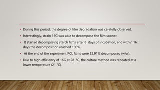 • During this period, the degree of film degradation was carefully observed.
• Interestingly, strain 16G was able to decompose the film sooner.
• It started decomposing starch films after 8 days of incubation, and within 16
days the decomposition reached 100%.
• At the end of the experiment PCL films were 52.91% decomposed (w/w).
• Due to high efficiency of 16G at 28 °C, the culture method was repeated at a
lower temperature (21 °C).
 