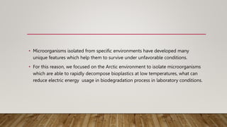• Microorganisms isolated from specific environments have developed many
unique features which help them to survive under unfavorable conditions.
• For this reason, we focused on the Arctic environment to isolate microorganisms
which are able to rapidly decompose bioplastics at low temperatures, what can
reduce electric energy usage in biodegradation process in laboratory conditions.
 