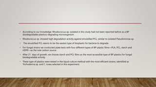 • According to our knowledge, Rhodococcus sp. isolated in this study had not been reported before as a BP
(biodegradable plastics)-degrading microorganism.
• Rhodococcus sp. showed high degradation activity against emulsified PCL, similar to isolated Pseudomonas sp.
• The emulsified PCL seems to be the easiest type of bioplastic for bacteria to degrade.
• For fungal strains we conducted plate tests with four different types of BP-plastic films—PLA, PCL, starch and
HDPE—as the sole carbon source.
• After 21 days of growth, we choose starch and PCL films as the most accessible type of BP plastics for fungal
biodegradable activity.
• These type of plastics were tested in the liquid culture method with the most efficient strains, identified as
Trichoderma sp. and C. rosea selected in this experiment.
 