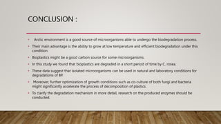 CONCLUSION :
• Arctic environment is a good source of microorganisms able to undergo the biodegradation process.
• Their main advantage is the ability to grow at low temperature and efficient biodegradation under this
condition.
• Bioplastics might be a good carbon source for some microorganisms.
• In this study we found that bioplastics are degraded in a short period of time by C. rosea.
• These data suggest that isolated microorganisms can be used in natural and laboratory conditions for
degradations of BP.
• Moreover, further optimization of growth conditions such as co-culture of both fungi and bacteria
might significantly accelerate the process of decomposition of plastics.
• To clarify the degradation mechanism in more detail, research on the produced enzymes should be
conducted.
 
