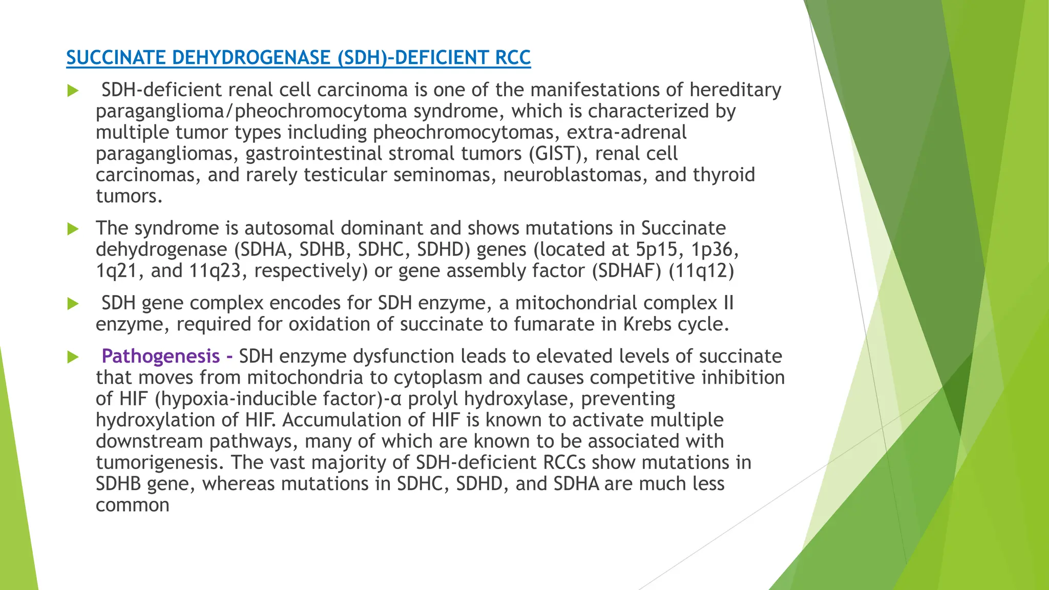Seminar RKS kidney.pptxkidney slides- pathogenesis features of rcc | PPTX