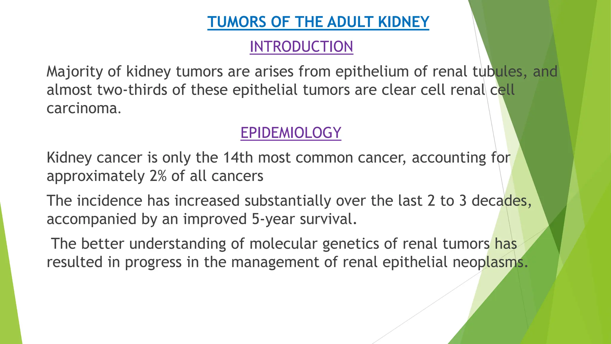Seminar RKS kidney.pptxkidney slides- pathogenesis features of rcc | PPTX