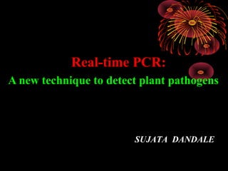 A new technique to detect plant pathogens
Real-time PCR:
SUJATA DANDALE
 