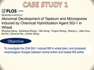 RESEARCH ARTICLE
Abnormal Development of Tapetum and Microspores
Induced by Chemical Hybridization Agent SQ-1 in
Wheat
Shuping Wang1, Gaisheng Zhang1*, Qilu Song1, Yingxin Zhang2, Zheng Li1, Jialin Guo1,
Na Niu1, Shoucai Ma1, Junwei Wang1
To investigate the CHA SQ-1 induced MS in wheat plant, and compared
morphological changes between normal anther and treated MS anther
Objective
 