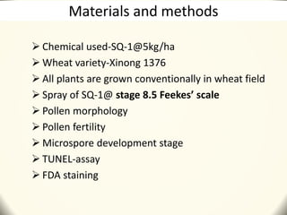 Materials and methods
 Chemical used-SQ-1@5kg/ha
 Wheat variety-Xinong 1376
 All plants are grown conventionally in wheat field
 Spray of SQ-1@ stage 8.5 Feekes’ scale
 Pollen morphology
 Pollen fertility
 Microspore development stage
 TUNEL-assay
 FDA staining
 