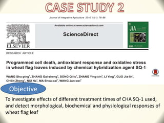 Objective
To investigate effects of different treatment times of CHA SQ-1 used,
and detect morphological, biochemical and physiological responses of
wheat flag leaf
 