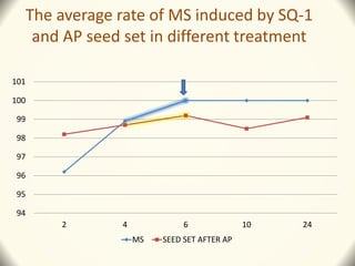 The average rate of MS induced by SQ-1
and AP seed set in different treatment
94
95
96
97
98
99
100
101
2 4 6 10 24
MS SEED SET AFTER AP
 