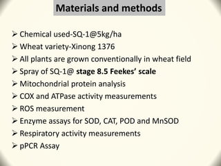 Materials and methods
 Chemical used-SQ-1@5kg/ha
 Wheat variety-Xinong 1376
 All plants are grown conventionally in wheat field
 Spray of SQ-1@ stage 8.5 Feekes’ scale
 Mitochondrial protein analysis
 COX and ATPase activity measurements
 ROS measurement
 Enzyme assays for SOD, CAT, POD and MnSOD
 Respiratory activity measurements
 pPCR Assay
 