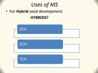 Uses of MS
• For Hybrid seed development.
HYBRIDS?
SCH
DCH
TCH
 