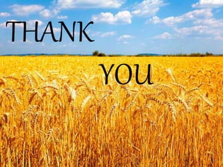 THANK
YOU
 