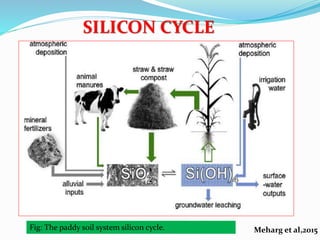 Role of Silicon in Alleviating Biotic and Abiotic Stresses in Plants | PPTX
