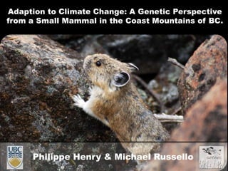 Adaption to Climate Change: A Genetic Perspective
from a Small Mammal in the Coast Mountains of BC.
Philippe Henry & Michael Russello
 