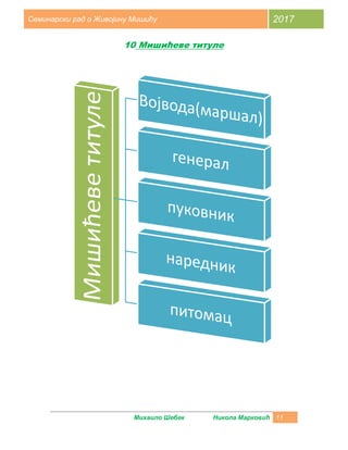 Михаило
Семинарски рад о Живојину Мишићу
10
Михаило Шебек Никола Марковић
Живојину Мишићу
Мишићеве титуле
Марковић 11
2017
 