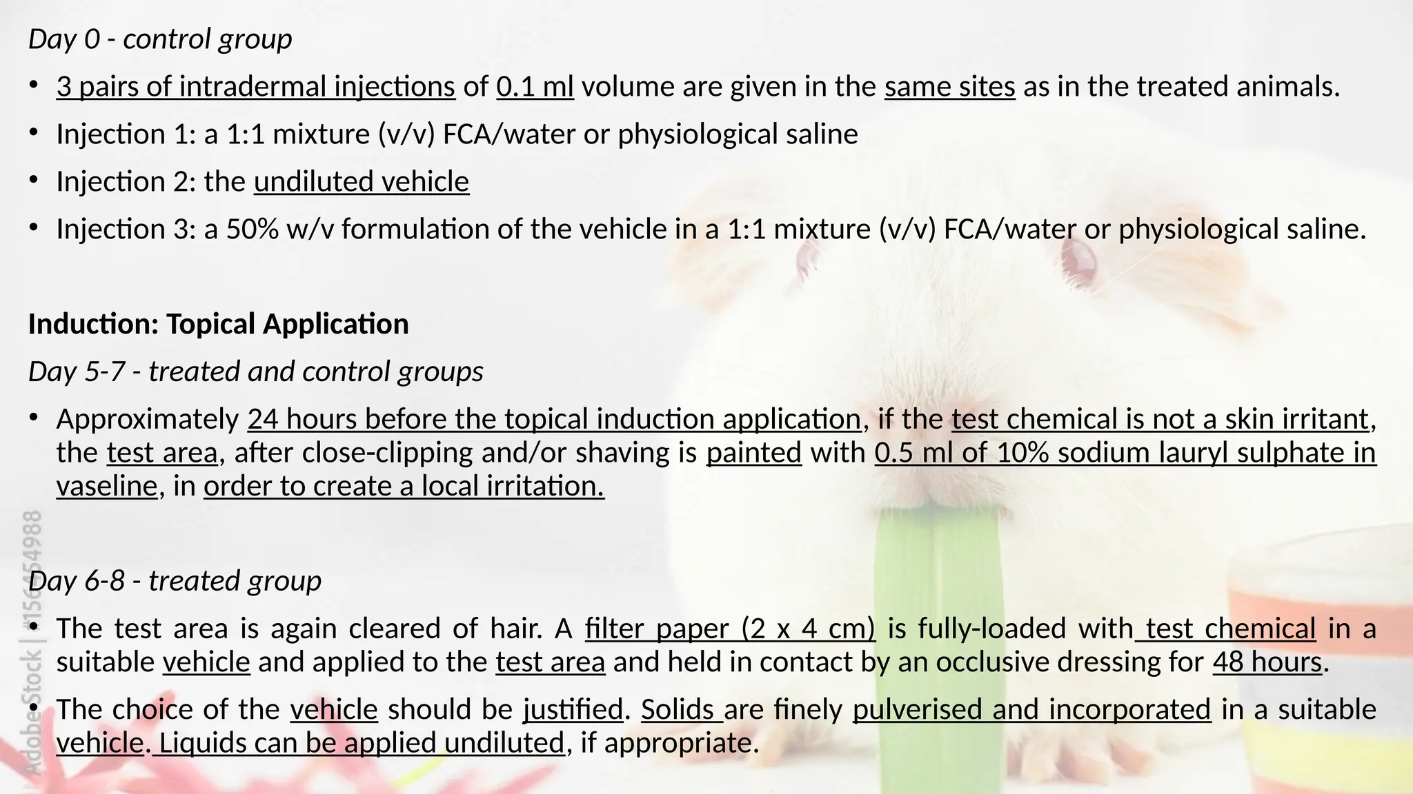 Skin Sensitisation Testing on Guinea Pig (OECD Guideline 406).pptx - Guinea Pig Sensitivity Testing