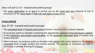 Image showcasing Skin Sensitisation Testing on Guinea Pig (OECD Guideline 406).pptx