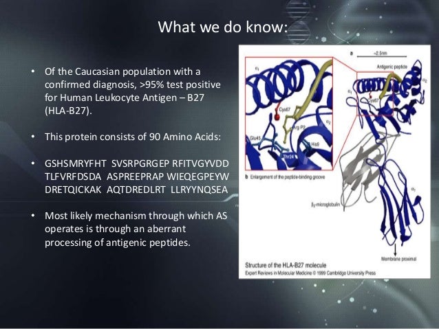 Inflammatory effects of HLAB27 as a Mechanism in