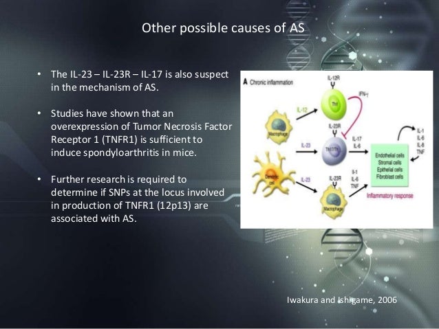 Inflammatory effects of HLAB27 as a Mechanism in
