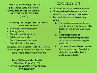View of Seminar snake, snakes and more snakes | PPT