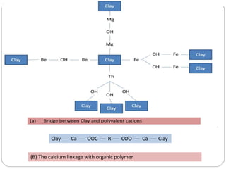 Clay Ca OOC R COO Ca Clay
(B) The calcium linkage with organic polymer
 