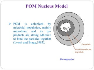 POM Nucleus Model
 POM is colonized by
microbial population, mainly
microflora, and its by-
products are strong adhesive
to bind the particles together
(Lynch and Bragg,1985).
 