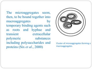 Cluster of microaggregates forming a
macroaggregates
The microaggregates seem,
then, to be bound together into
macroaggregates by
temporary binding agents such
as roots and hyphae and
transient extracellular
polymeric substances
including polysaccharides and
proteins (Six et al., 2000)
 