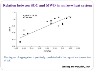 Relation between SOC and MWD in maize-wheat system
The degree of aggregation is positively correlated with the organic carbon content
of soil.
Sandeep and Manjaiah, 2014
 