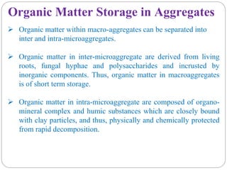 Organic Matter Storage in Aggregates
 Organic matter within macro-aggregates can be separated into
inter and intra-microaggregates.
 Organic matter in inter-microaggregate are derived from living
roots, fungal hyphae and polysaccharides and incrusted by
inorganic components. Thus, organic matter in macroaggregates
is of short term storage.
 Organic matter in intra-microaggregate are composed of organo-
mineral complex and humic substances which are closely bound
with clay particles, and thus, physically and chemically protected
from rapid decomposition.
 