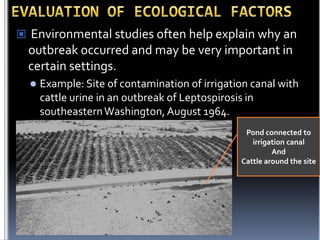  Environmental studies often help explain why an

outbreak occurred and may be very important in
certain settings.


Example: Site of contamination of irrigation canal with
cattle urine in an outbreak of Leptospirosis in
southeastern Washington, August 1964.
Pond connected to
irrigation canal
And
Cattle around the site

 