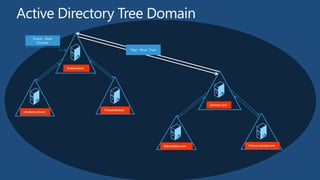 Contoso.com
Sale.contoso.com Finance.contoso.com
Technet.local
edu.technet.local
TV.technet.local
Forest - Root
Domain
Tree - Root Trust
 