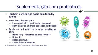 12
Suplementação com probióticos
● Também conhecidos como ‘bio-friendly
agents’
● Nova abordagem para
– Incremento do crescimento miotomal
– Bem-estar de animais aquáticos cultivados¹
● Espécies de bactérias já foram avaliadas
para:
– Melhorar parâmetros de crescimento
– Nutrição
– Resposta imune
– Resistência a doenças
1 - Andani et al., 2012; Talpur et al., 2012; Han et al., 2015
 