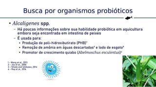 15
Busca por organismos probióticos
●
Alcaligenes spp.
– Há poucas informações sobre sua habilidade probiótica em aquicultura
embora seja encontrada em intestino de peixes
– É usada para:
● Produção de poli-hidroxibutirato (PHB)¹
● Remoção de amônia em águas descartadas² e lodo de esgoto³
●
Promotor de crescimento quiabo (Abelmoschus esculentus)4
1 - Wang et al., 2013
2 - Joo et al., 2006
3 - Shoda and Ishikawa, 2014
4 - Ray et al., 2016
 