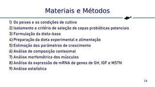 19
Materiais e Métodos
1) Os peixes e as condições de cultivo
2) Isolamento e critério de seleção de cepas probióticas potenciais
3) Formulação da dieta-base
4) Preparação da dieta experimental e alimentação
5) Estimação dos parâmetros de crescimento
6) Análise de composição centesimal
7) Análise morfométrica dos músculos
8) Análise da expressão de mRNA de genes de GH, IGF e MSTN
9) Análise estatística
 