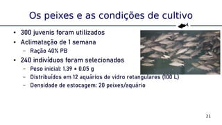 21
Os peixes e as condições de cultivo
● 300 juvenis foram utilizados
● Aclimatação de 1 semana
– Ração 40% PB
● 240 indivíduos foram selecionados
– Peso inicial: 1.39 ± 0.05 g
– Distribuídos em 12 aquários de vidro retangulares (100 L)
– Densidade de estocagem: 20 peixes/aquário
 