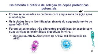 25
Isolamento e critério de seleção de cepas probióticas
potenciais
● Foram selecionadas as colônias com ampla zona de ação após
a incubação
● Os isolados foram identificados através do sequenciamento do
gene 16S rRNA
● Foram selecionados três diferentes probióticos de acordo com
suas atividades enzimáticas digestivas in vitro. :
– Bacillus sp. AHG22, Alcaligenes sp. AFG22, and Shewanella sp.
AFG21
 
