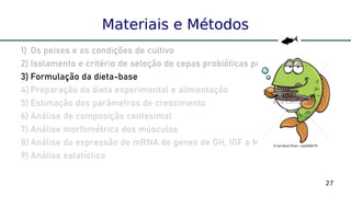 27
Materiais e Métodos
1) Os peixes e as condições de cultivo
2) Isolamento e critério de seleção de cepas probióticas potenciais
3) Formulação da dieta-base
4) Preparação da dieta experimental e alimentação
5) Estimação dos parâmetros de crescimento
6) Análise de composição centesimal
7) Análise morfométrica dos músculos
8) Análise da expressão de mRNA de genes de GH, IGF e MSTN
9) Análise estatística
 