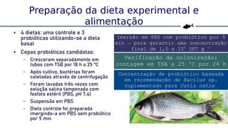 30
Preparação da dieta experimental e
alimentação
● 4 dietas: uma controle e 3
probióticas utilizando-se a dieta
basal
● Cepas probióticas candidatas:
– Cresceram separadamente em
tubos com TSB por 18 h a 25 ºC
– Após cultivo, bactérias foram
coletadas através de centrifugação
– Foram lavadas três vezes com
solução salina tamponada com
fosfato estéril (PBS, pH 7,4)
– Suspensão em PBS
– Dieta controle foi preparada
imergindo-a em PBS sem probiótico
por 5 min
Imersão em PBS com probiótico por 5
min → para garantir uma concentração
final de 1,0 x 108
UFC g -1
Verificação da colonização:
contagem em TSA a 25 ºC por 24 h
Concentração de probiótico baseada
em recomendação de Bacilus sp.
suplementado para Catla catla
 