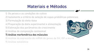 36
Materiais e Métodos
1) Os peixes e as condições de cultivo
2) Isolamento e critério de seleção de cepas probióticas potenciais
3) Formulação da dieta-base
4) Preparação da dieta experimental e alimentação
5) Estimação dos parâmetros de crescimento
6) Análise de composição centesimal
7) Análise morfométrica dos músculos
8) Análise da expressão de mRNA de genes de GH, IGF e MSTN
9) Análise estatística
 