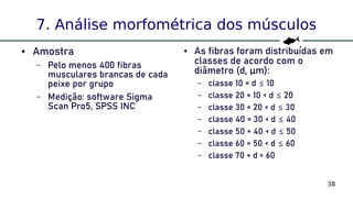 38
7. Análise morfométrica dos músculos
● Amostra
– Pelo menos 400 fibras
musculares brancas de cada
peixe por grupo
– Medição: software Sigma
Scan Pro5, SPSS INC
● As fibras foram distribuídas em
classes de acordo com o
diâmetro (d, μm):
– classe 10 = d 10≤
– classe 20 = 10 < d 20≤
– classe 30 = 20 < d 30≤
– classe 40 = 30 < d 40≤
– classe 50 = 40 < d 50≤
– classe 60 = 50 < d 60≤
– classe 70 = d > 60
 
