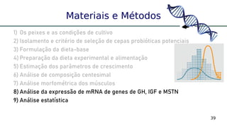 39
Materiais e Métodos
1) Os peixes e as condições de cultivo
2) Isolamento e critério de seleção de cepas probióticas potenciais
3) Formulação da dieta-base
4) Preparação da dieta experimental e alimentação
5) Estimação dos parâmetros de crescimento
6) Análise de composição centesimal
7) Análise morfométrica dos músculos
8) Análise da expressão de mRNA de genes de GH, IGF e MSTN
9) Análise estatística
 