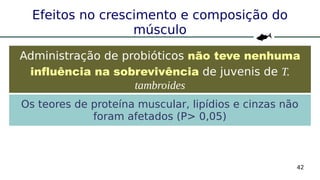 42
Efeitos no crescimento e composição do
músculo
Administração de probióticos não teve nenhuma
influência na sobrevivência de juvenis de T.
tambroides
Os teores de proteína muscular, lipídios e cinzas não
foram afetados (P> 0,05)
 