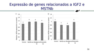 50
Expressão de genes relacionados a IGF2 e
MSTNb
 