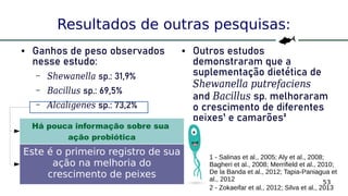 53
Resultados de outras pesquisas:
● Ganhos de peso observados
nesse estudo:
– Shewanella sp.: 31,9%
– Bacillus sp.: 69,5%
– Alcaligenes sp.: 73,2%
● Outros estudos
demonstraram que a
suplementação dietética de
Shewanella putrefaciens
and Bacillus sp. melhoraram
o crescimento de diferentes
peixes¹ e camarões²
1 - Salinas et al., 2005; Aly et al., 2008;
Bagheri et al., 2008; Merrifield et al., 2010;
De la Banda et al., 2012; Tapia-Paniagua et
al., 2012
2 - Zokaeifar et al., 2012; Silva et al., 2013
Há pouca informação sobre sua
ação probiótica
Este é o primeiro registro de sua
ação na melhoria do
crescimento de peixes
 